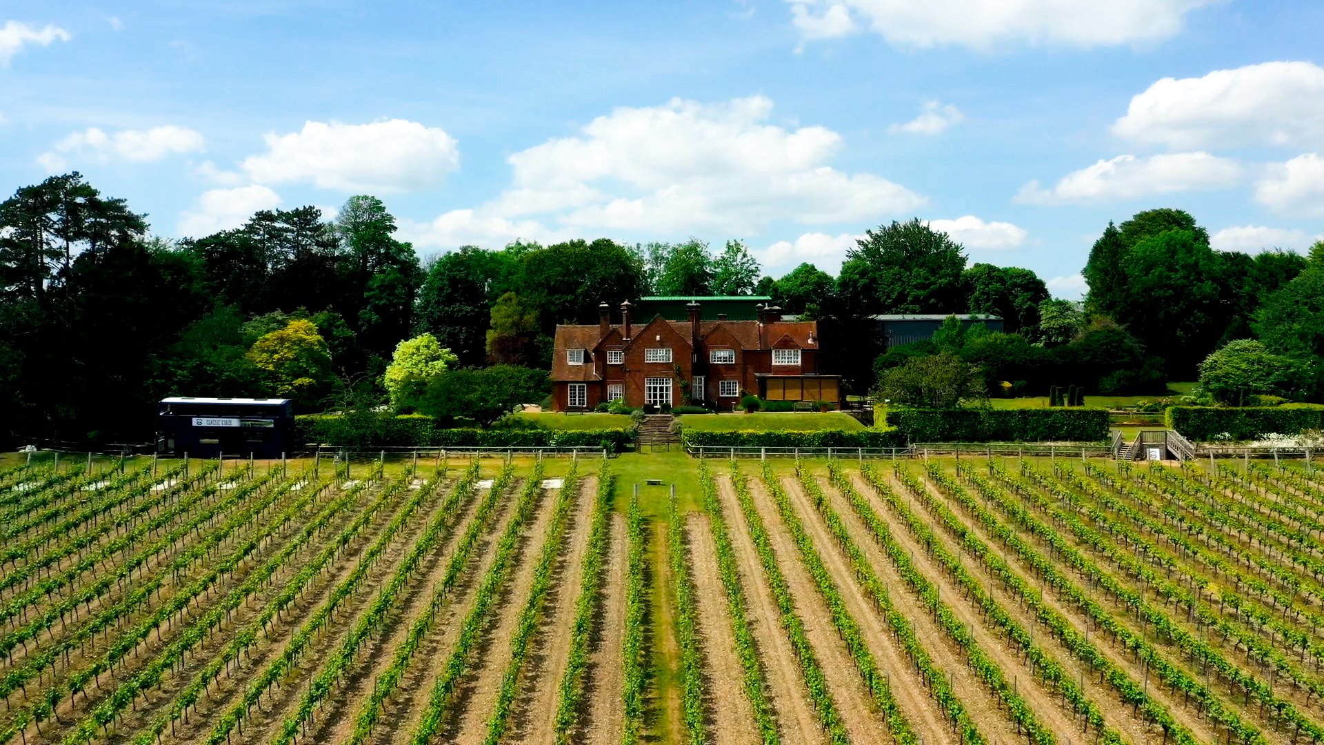 Hambledon Vineyard Fieldbar - Vineyard fields