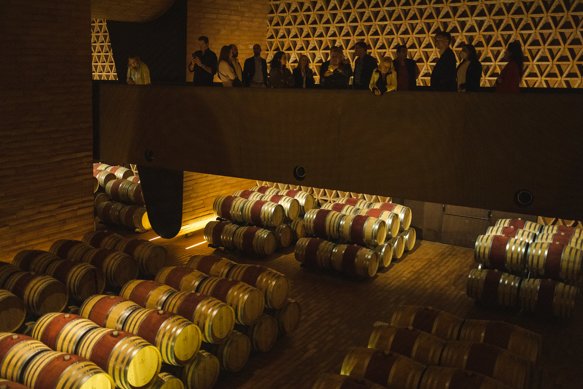 Golden VInes - people looking at wine barrels from a mezanine floor