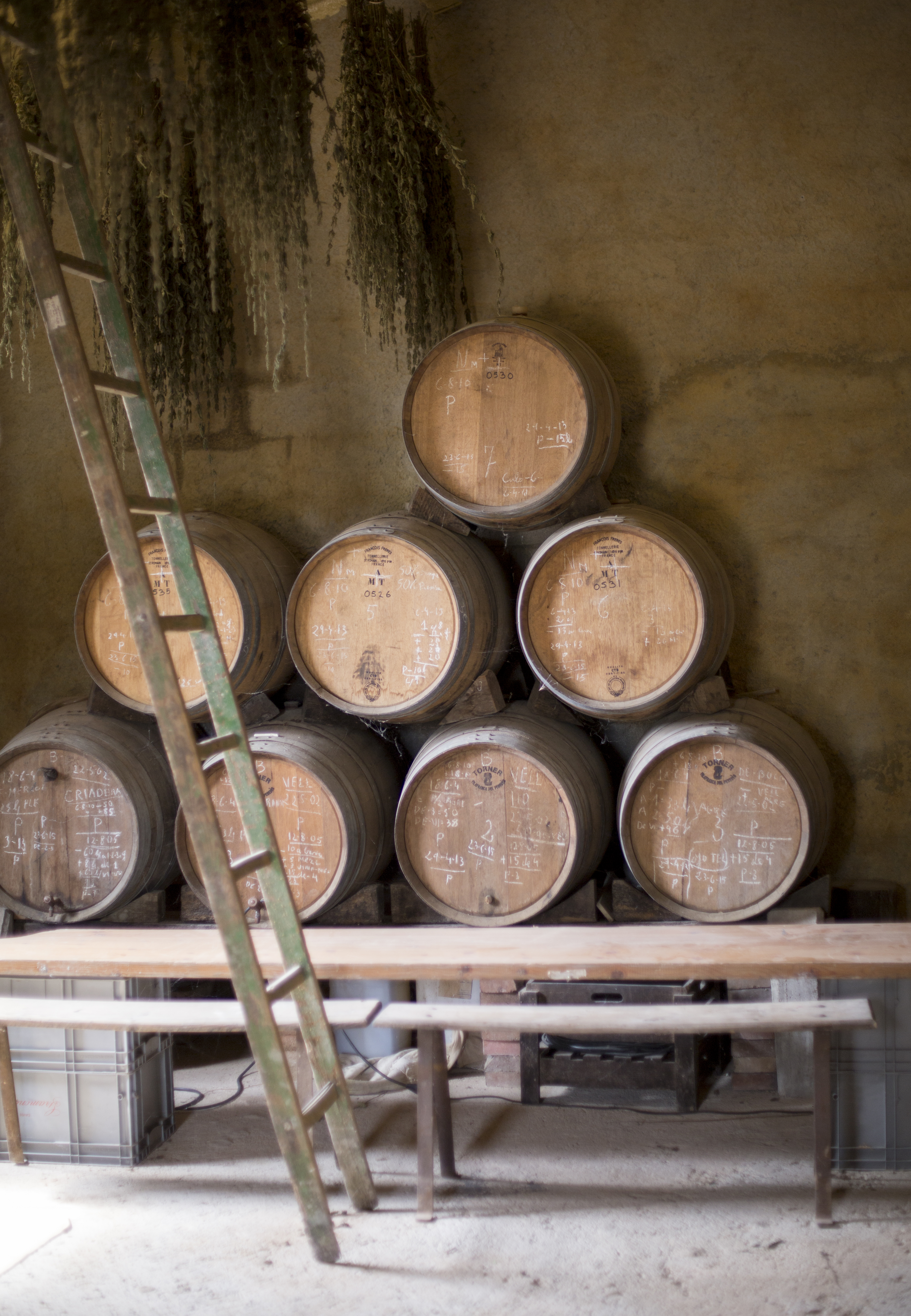 Best Cava in Spain - barrels