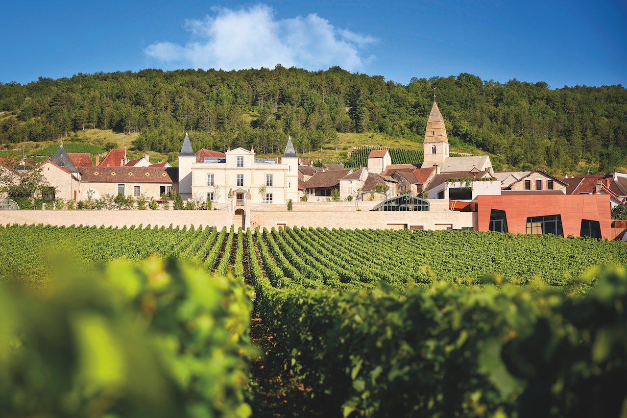 Burgundy Vineyards - Château de Saint Aubin 