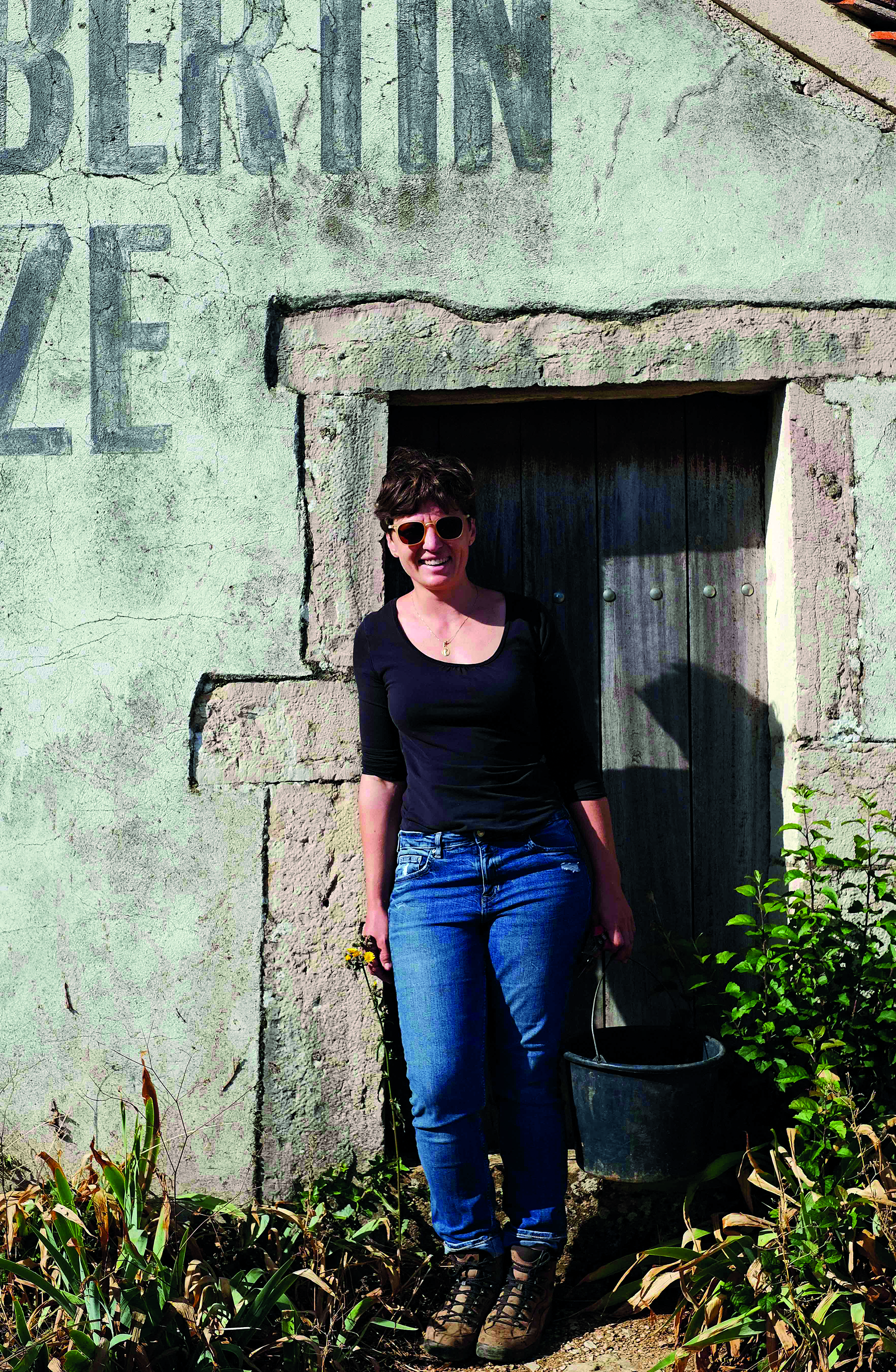 Burgundy Vineyards - Caroline Drouhin 