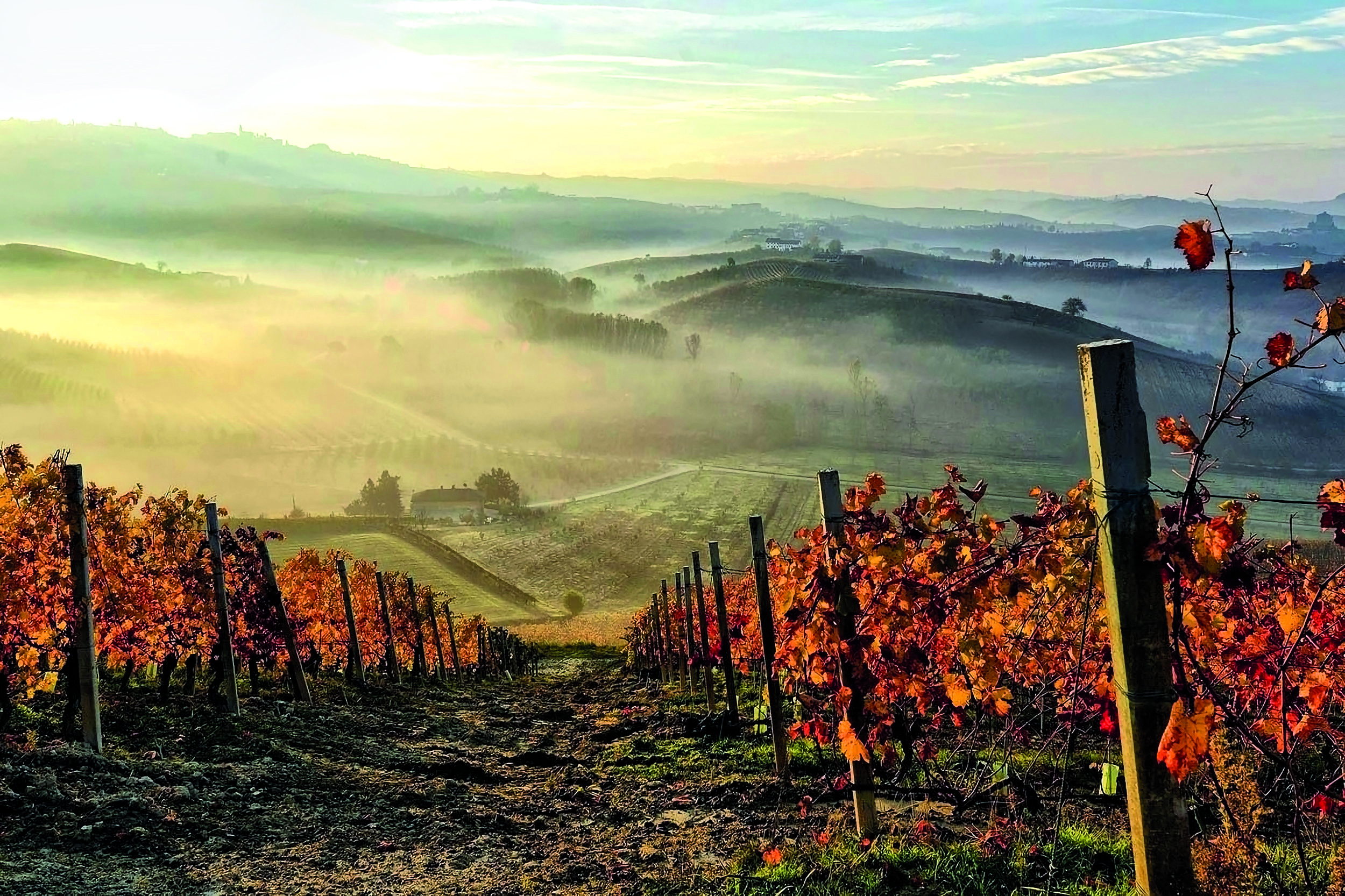 Burgundy Vineyards - Côte Chalonnaise