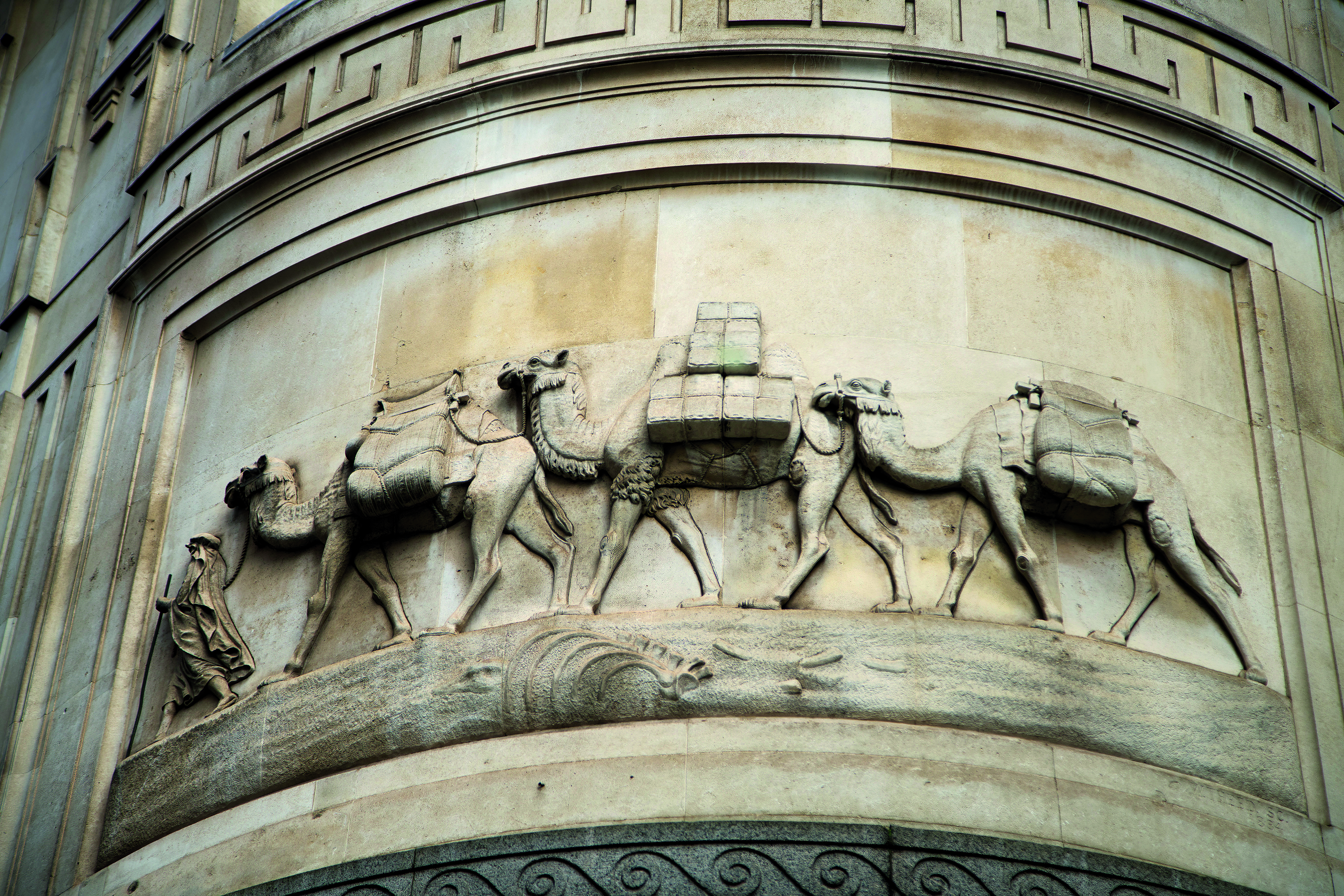 Animal statues around London - Camels