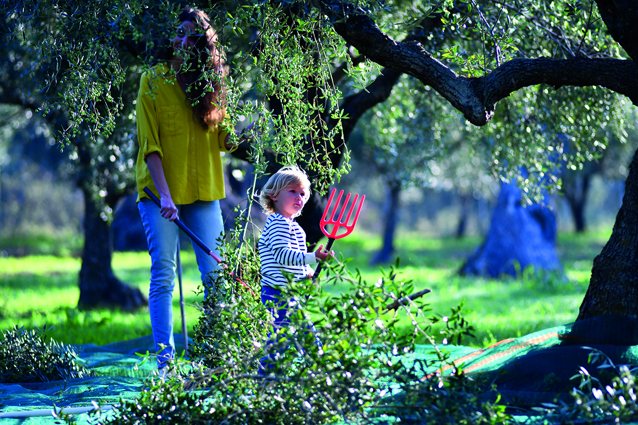 Family Travel Destinations - vegetable picking