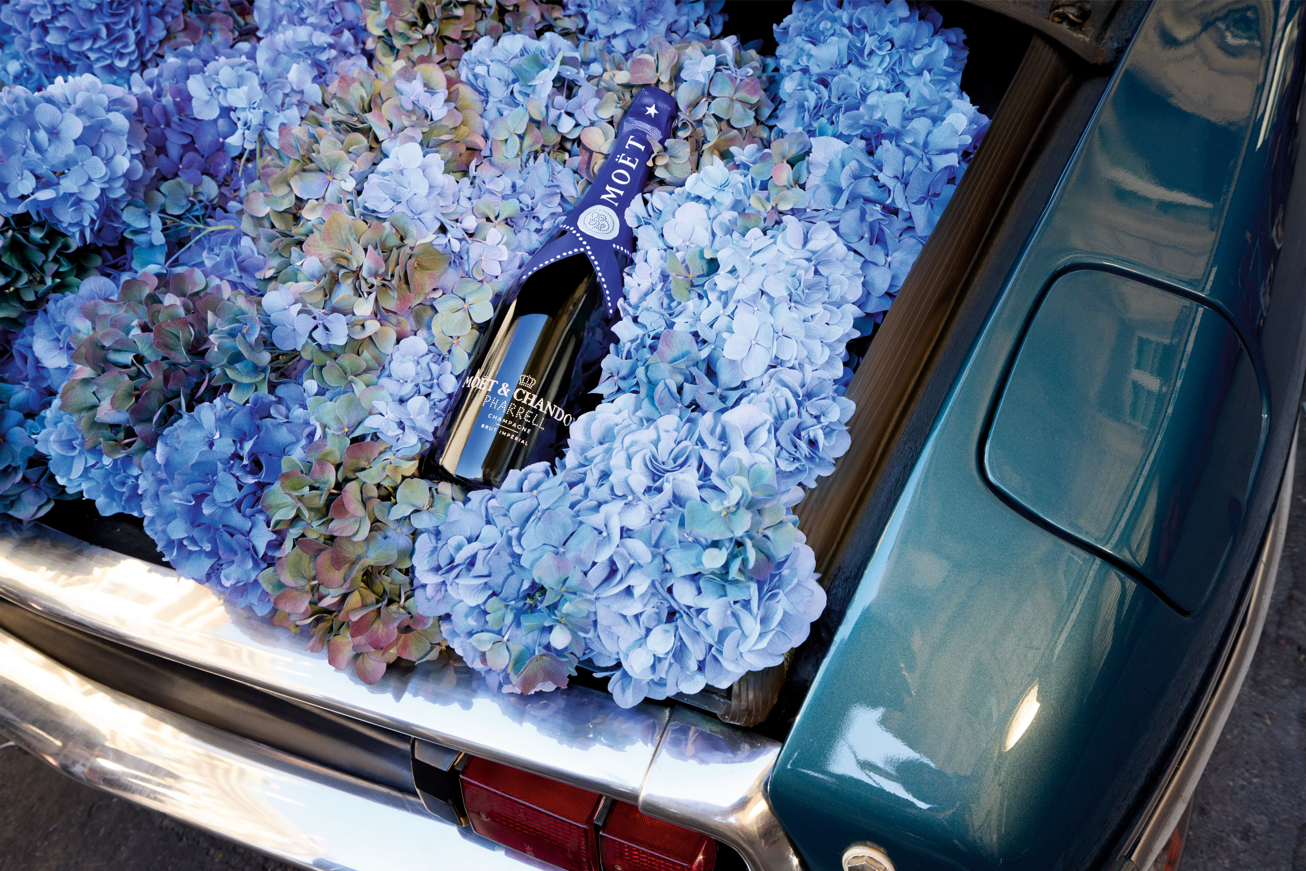 Pharrell Williams Moet Chandon - The image features a bottle of Moët & Chandon Pharrell Williams limited edition champagne resting amidst a bed of soft blue and purple hydrangea flowers. The floral arrangement fills the trunk of a vintage car, creating a luxurious and artistic scene. The combination of the vibrant flowers and the elegant bottle creates a festive, sophisticated atmosphere.